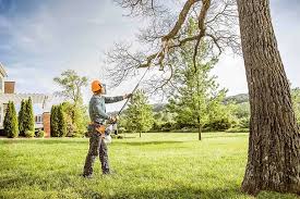 Best Weed Control  in Succasunna, NJ