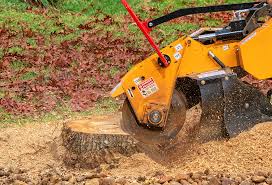 Best Lot and Land Clearing  in Succasunna, NJ